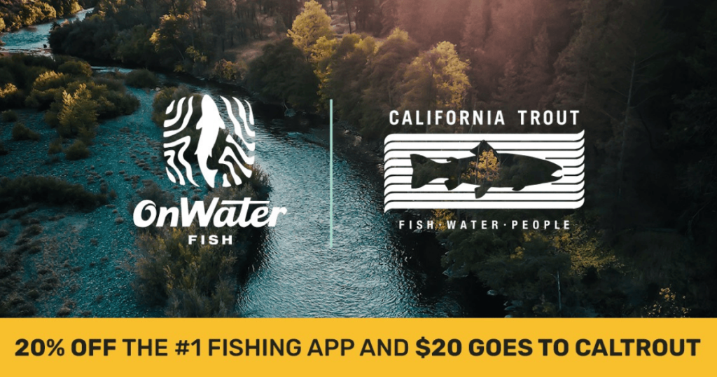 Empowering Anglers: onWater Fish and California Trout Forge Partnership to Support Fish Migration and a Brighter Future for Rivers