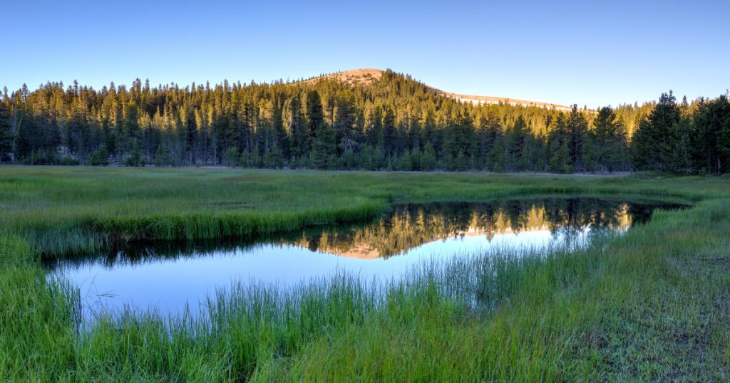 Local Fishing Businesses Call on President Biden to Designate Sáttítla National Monument