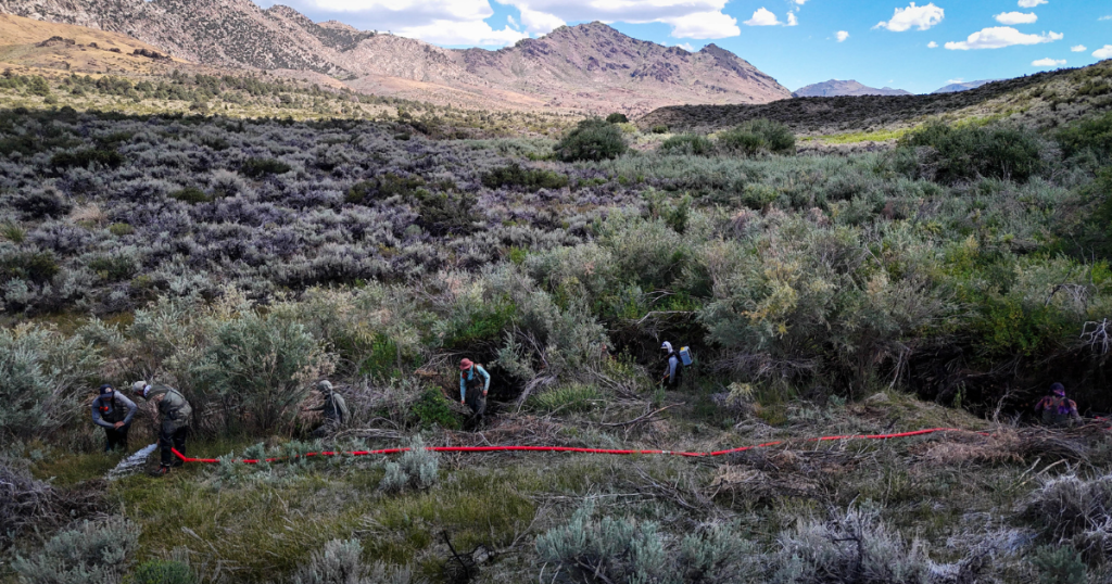 Restoring the Sierra Headwaters: From Forests to Meadows to Lahontan Cutthroat Trout