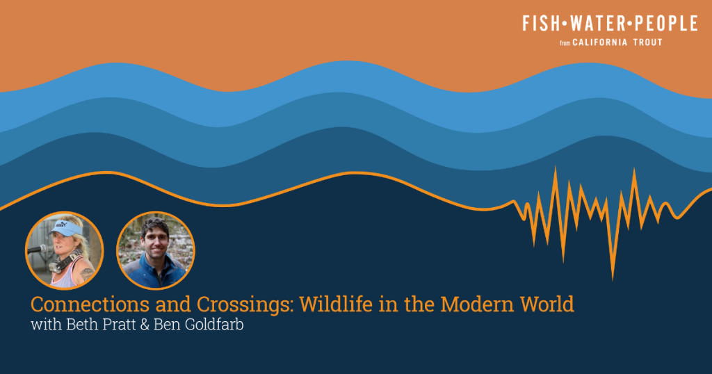 Podcast: Connections and Crossings: Wildlife in the Modern World, with Beth Pratt and Ben Goldfarb