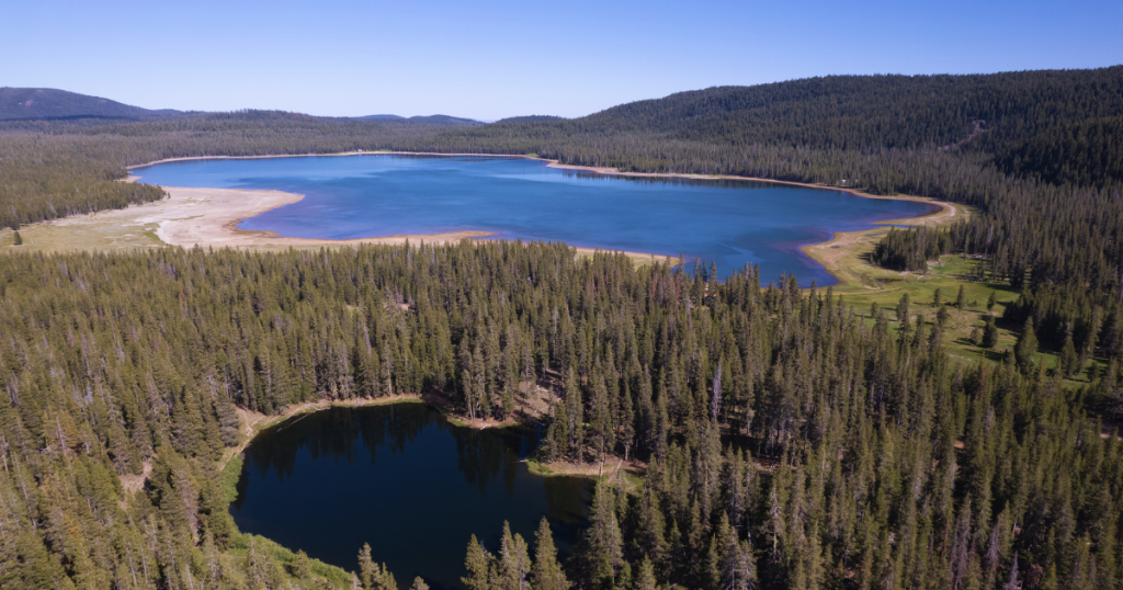 Decades of Persistence by the Pit River Tribe Secures Permanent Protection for Sáttítla Highlands