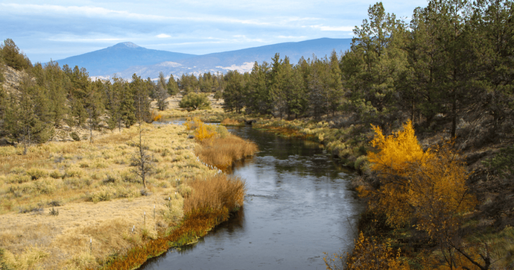 CalTrout Receives Wildlife Conservation Board Grant to Advance Habitat Restoration on the Shasta River 