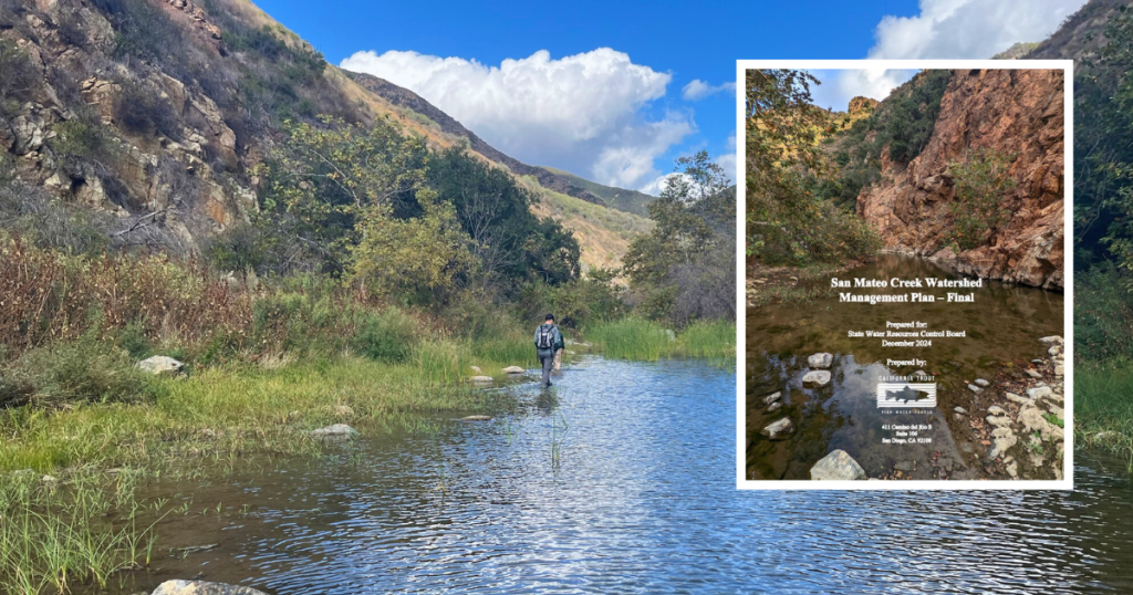 Recovery of Southern Steelhead in San Mateo Creek Starts with a Plan