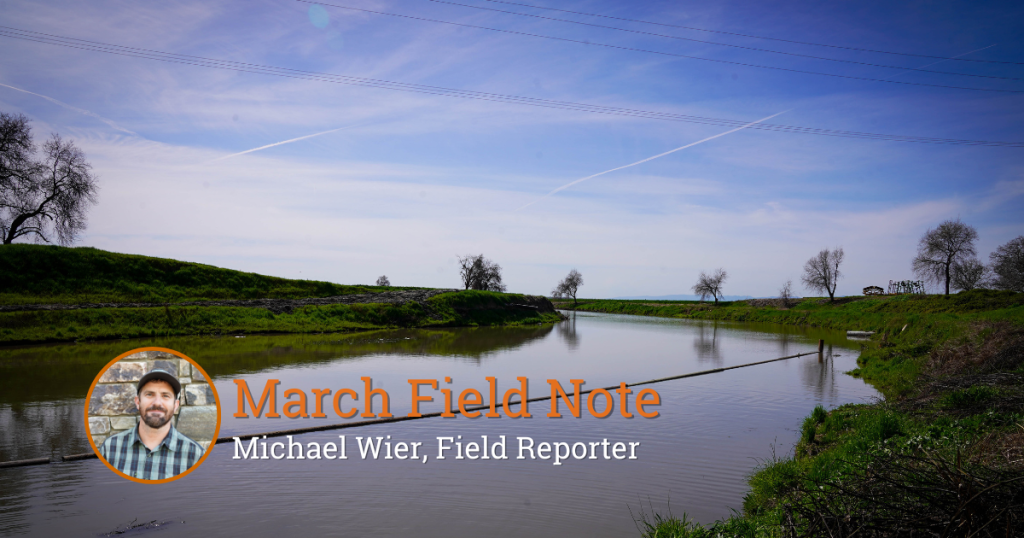 Field Note: Making Fish Food in the Rice Fields