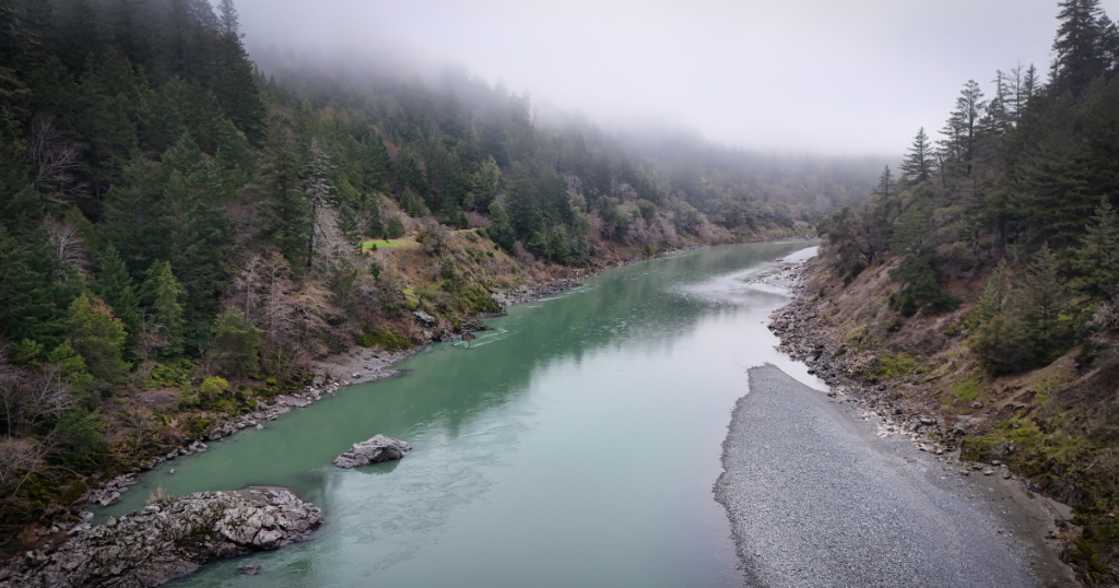 Strong Salmon Run and Restoration Funding Flow into the Eel River, Amidst Third Consecutive State Commercial Fishery Closure