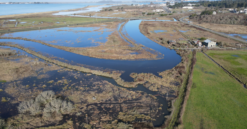CalTrout Acquires Key Elk River Land Parcels, Returns Historic Site to Wiyot Tribe for Cultural Restoration