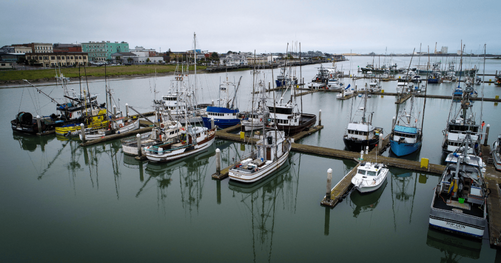 California Reopens Parts of its Salmon Fishery: Resilient Fisheries Management is Essential to Ensure Recovery Lasts