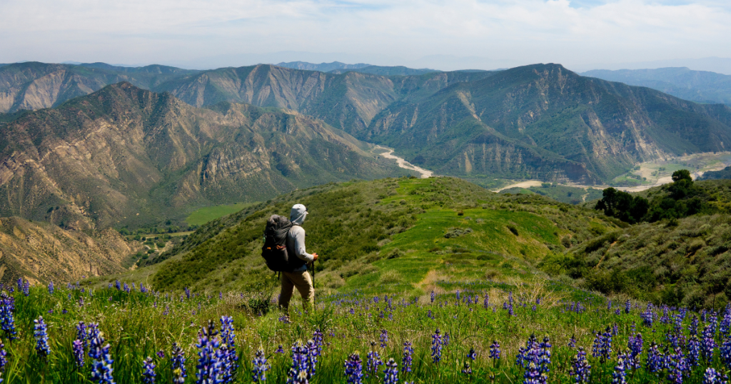 On the Road Again with Sean Jansen: Tideline to Alpine