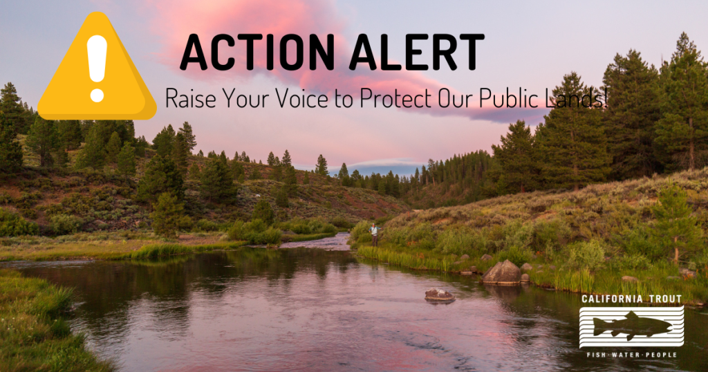 Action Alert: Protect California’s Public Lands Before It’s Too Late