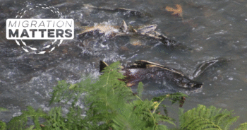 Blog Post Featured Photo (16)