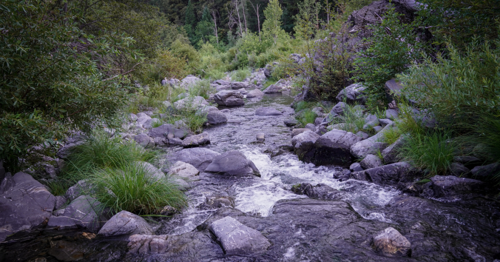 PG&E Makes it Official – Submits Plan to Remove Potter Valley Project Dams and Modernize Water Infrastructure