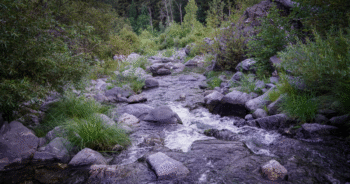 Blog Post Featured Photo (18)