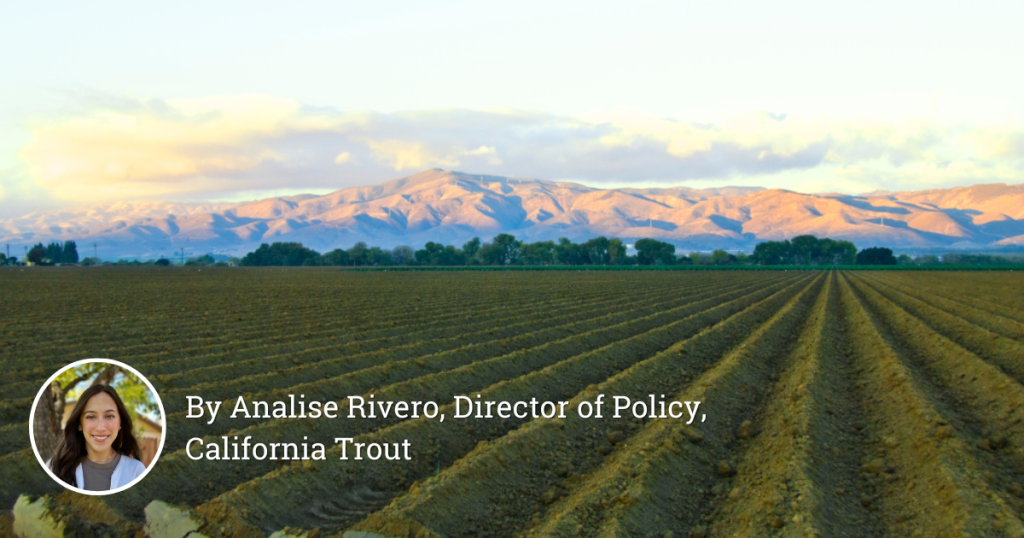 Prop 4 Funding Sparks Conservation, Restoration, and Economic Growth