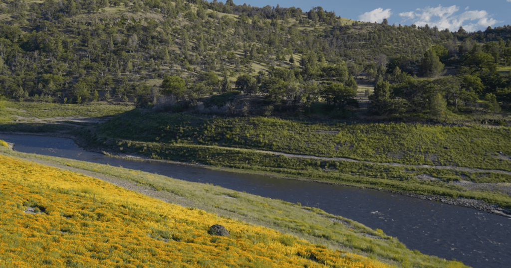 A River Reborn: One Year After Klamath River Dam Removal