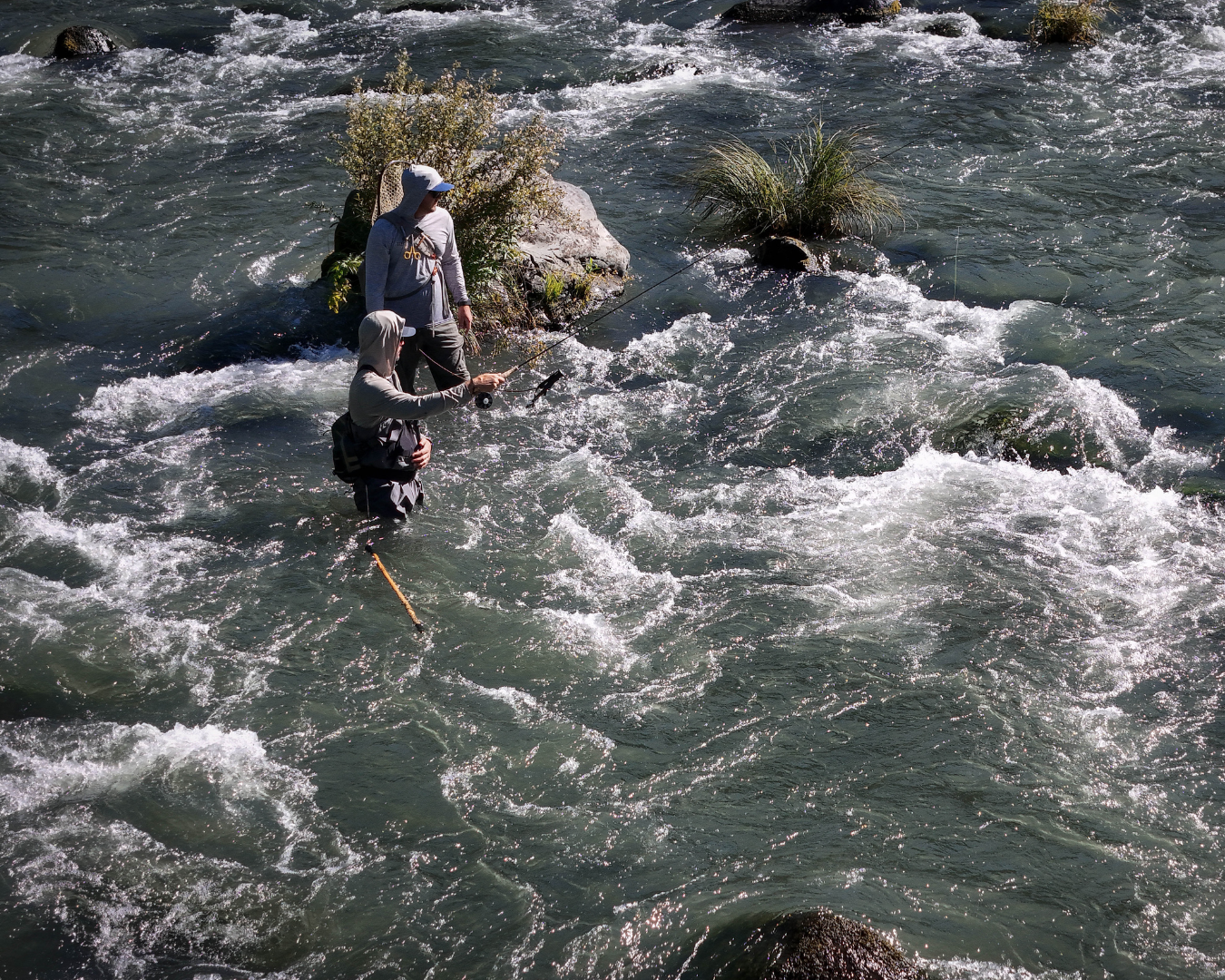 Rectangle Photo Blog Post (1080 x 1350 px) (1350 x 1080 px) (6)