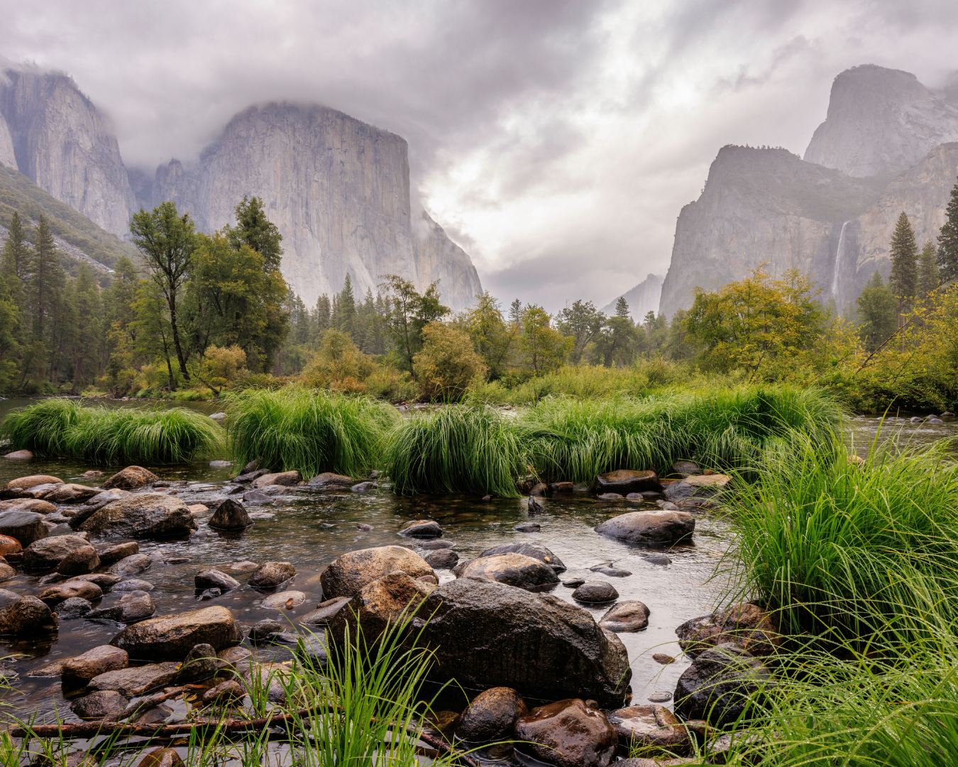 Rectangle Photo Blog Post (1080 x 1350 px) (1350 x 1080 px)