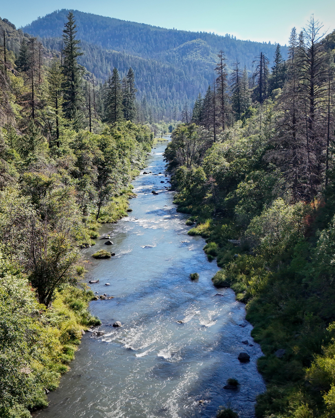 Rectangle Photo Blog Post (1080 x 1350 px) (17)