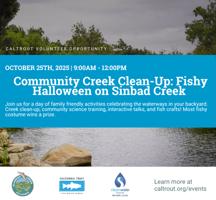 Webpage Event Graphic (1)