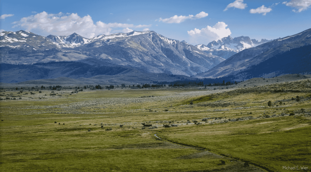 By-Day Creek Forest Health Project