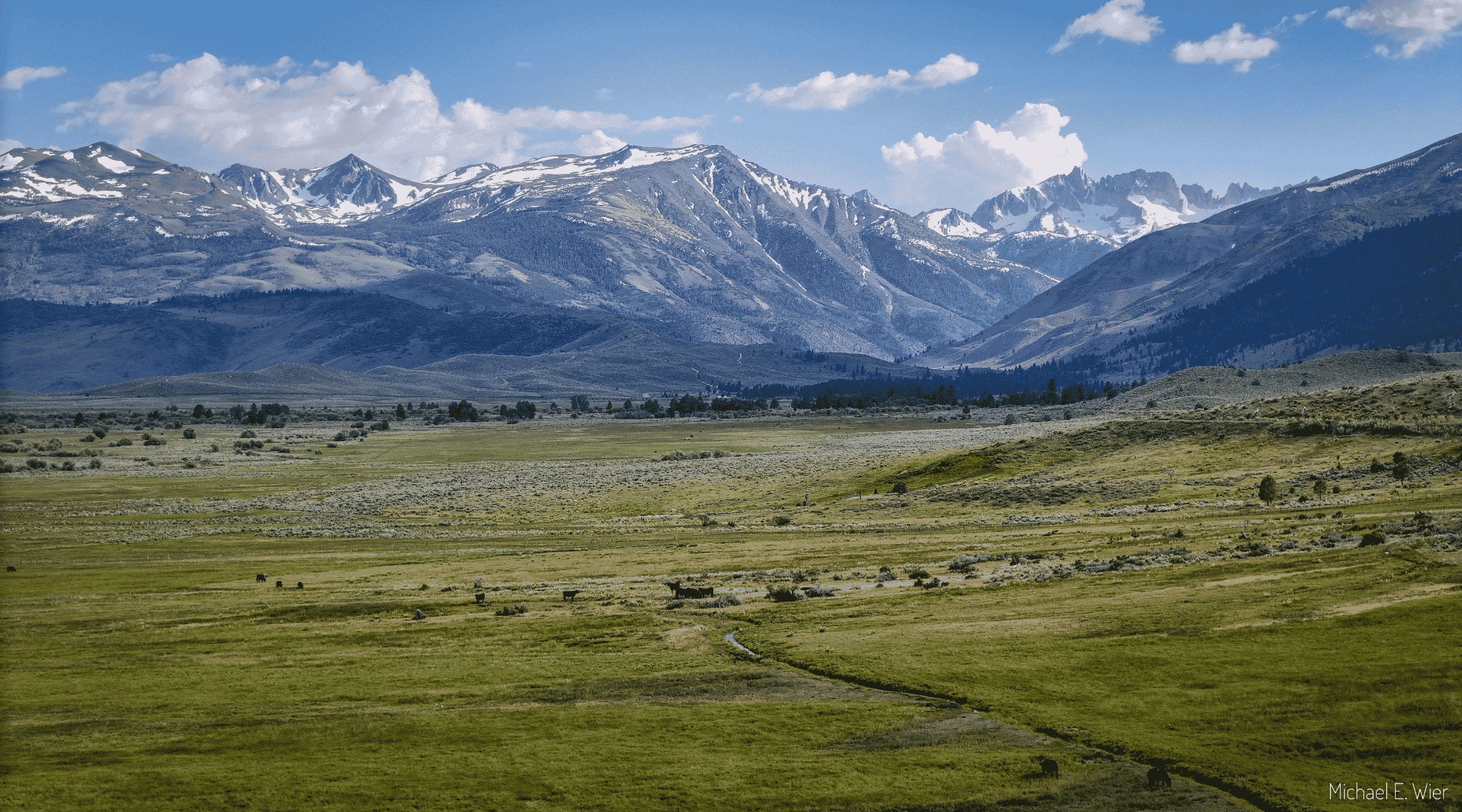 Aerial view of a small creek weaving through a meadow with mountains in the background