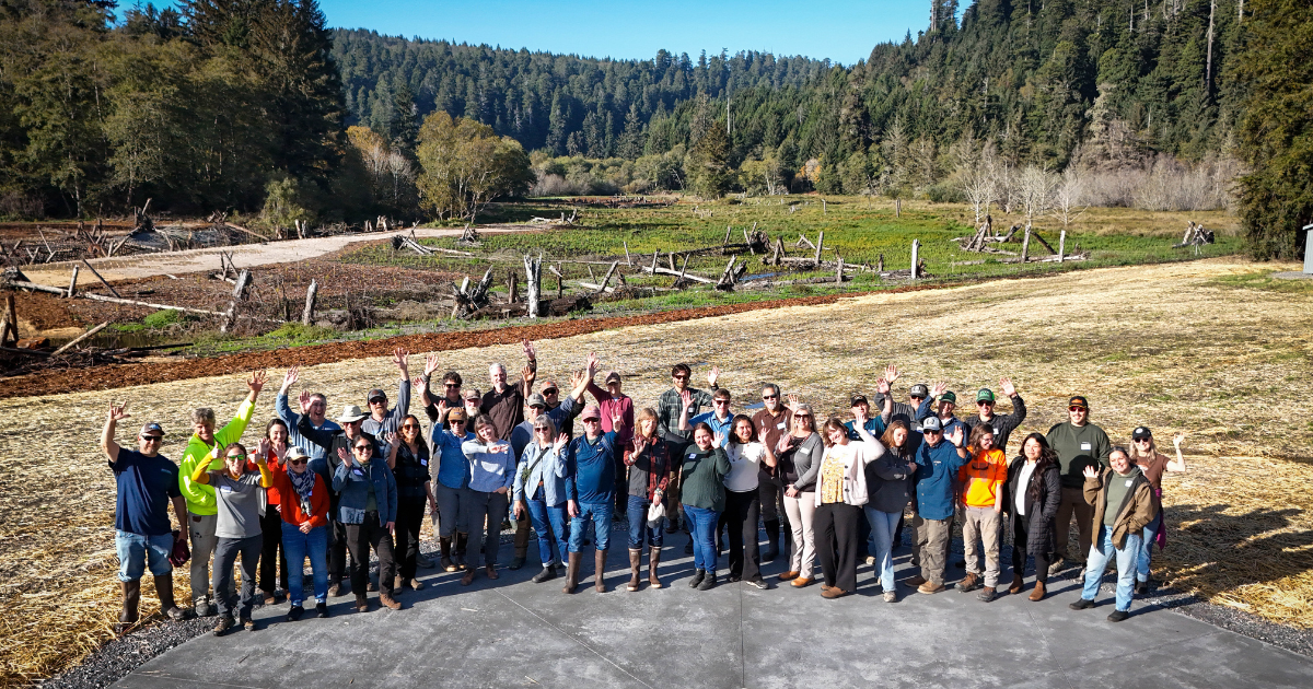 Blog Post Featured Photo (12)