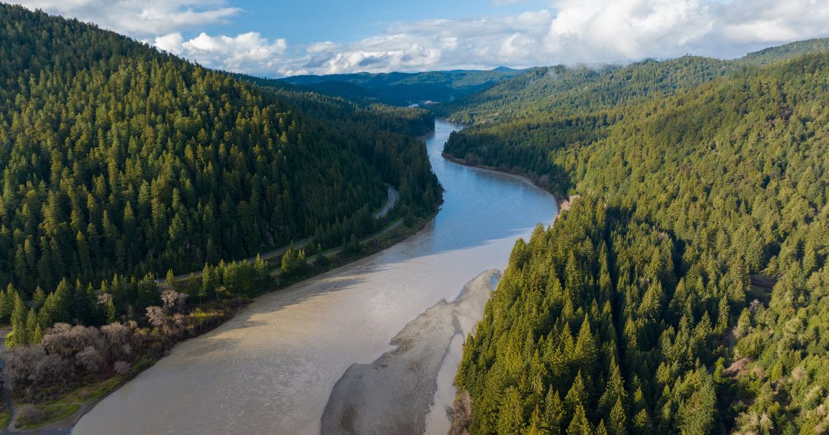 Blog Post Featured Photo (13)