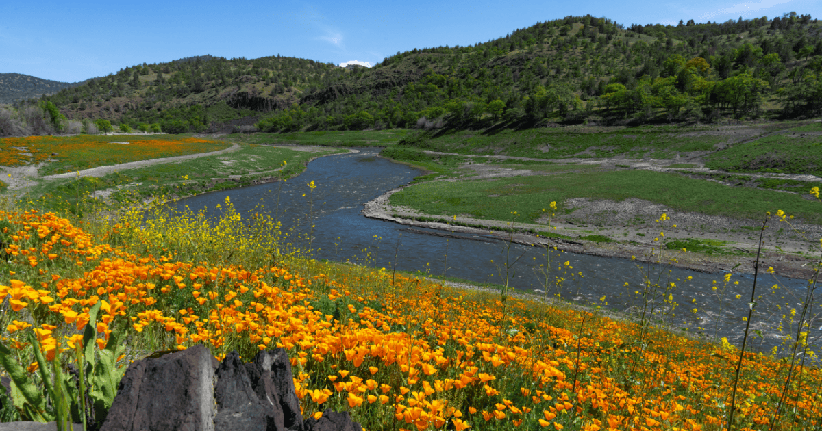 Blog Post Featured Photo (3)