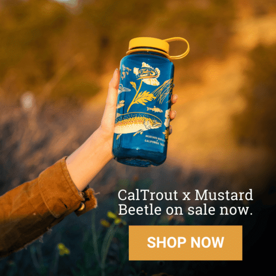 Pop up Square Centered (5)