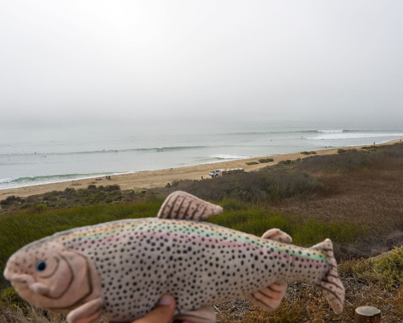 Rectangle Photo Blog Post (1080 x 1350 px) (1350 x 1080 px) (23)