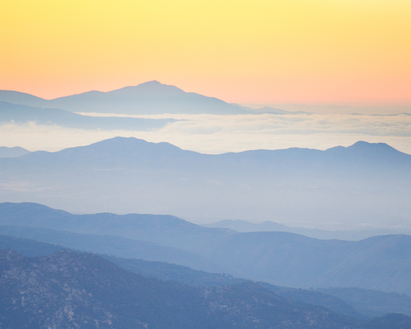 Rectangle Photo Blog Post (1080 x 1350 px) (1350 x 1080 px) (24)