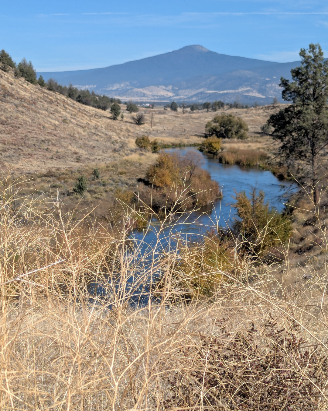 Rectangle Photo Blog Post (1080 x 1350 px) (14)