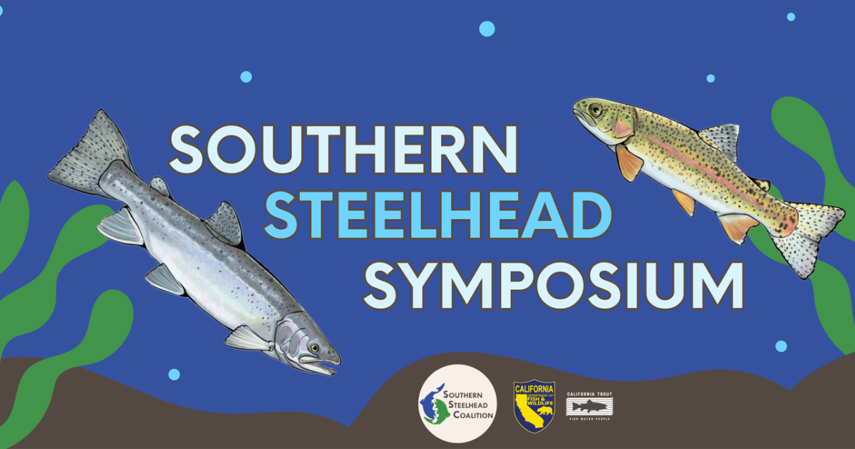 Blog Post Featured Photo (20)