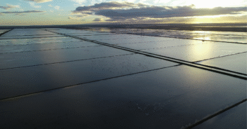 Blog Post Featured Photo (29)