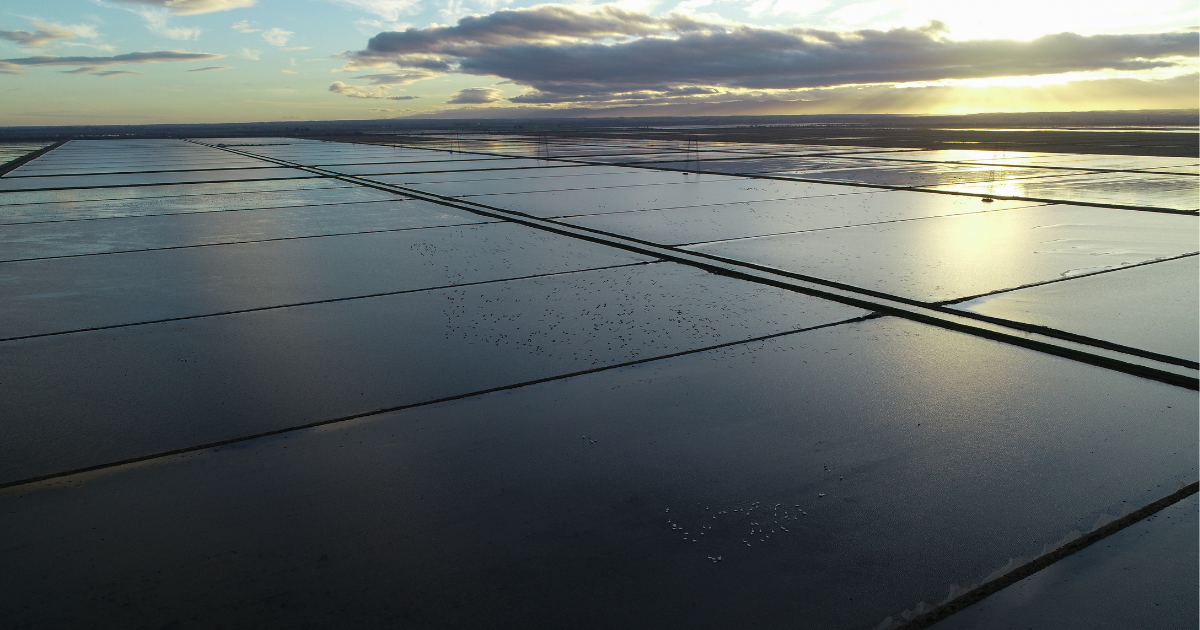 Blog Post Featured Photo (29)