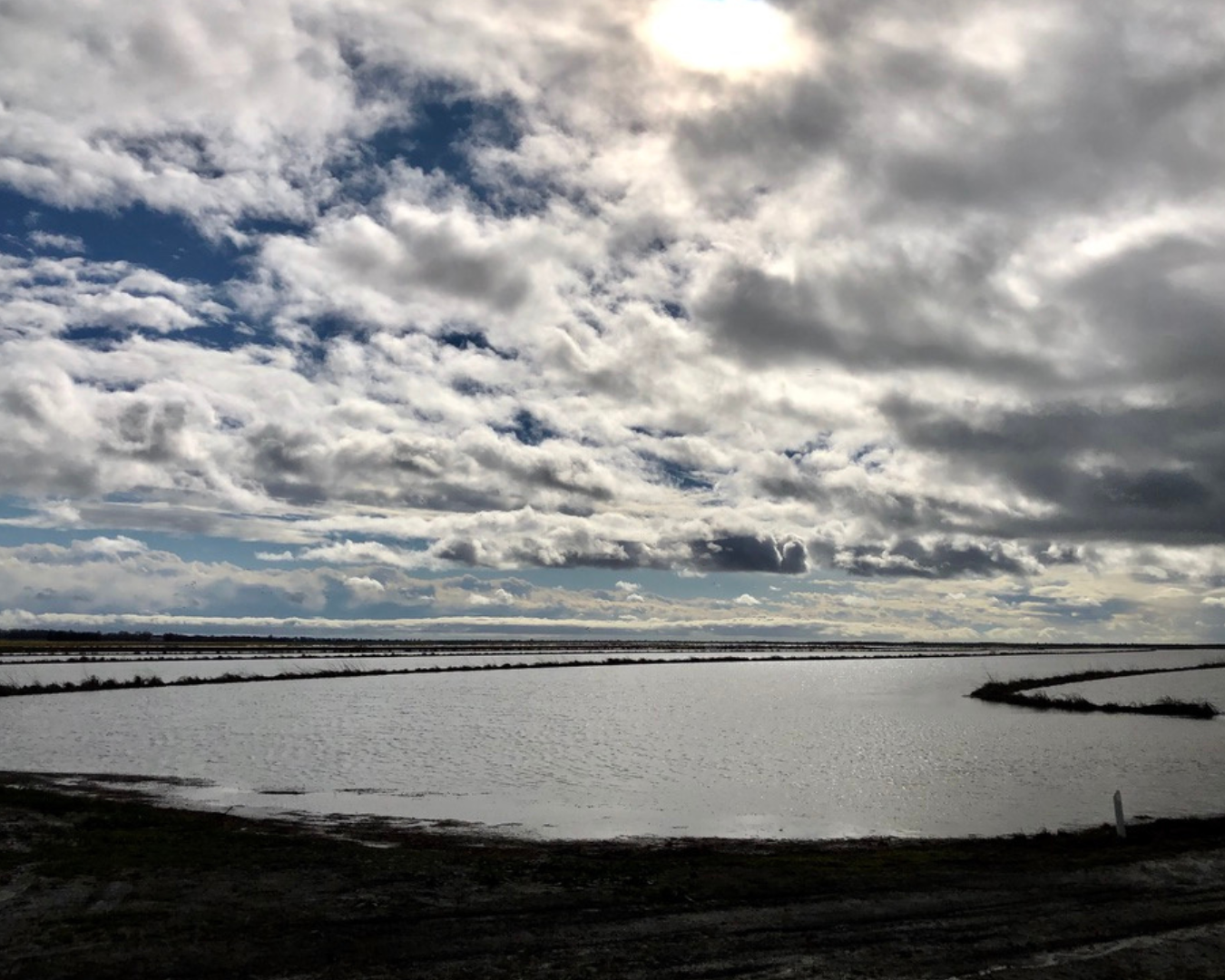 Rectangle Photo Blog Post (1080 x 1350 px) (1350 x 1080 px) (81)