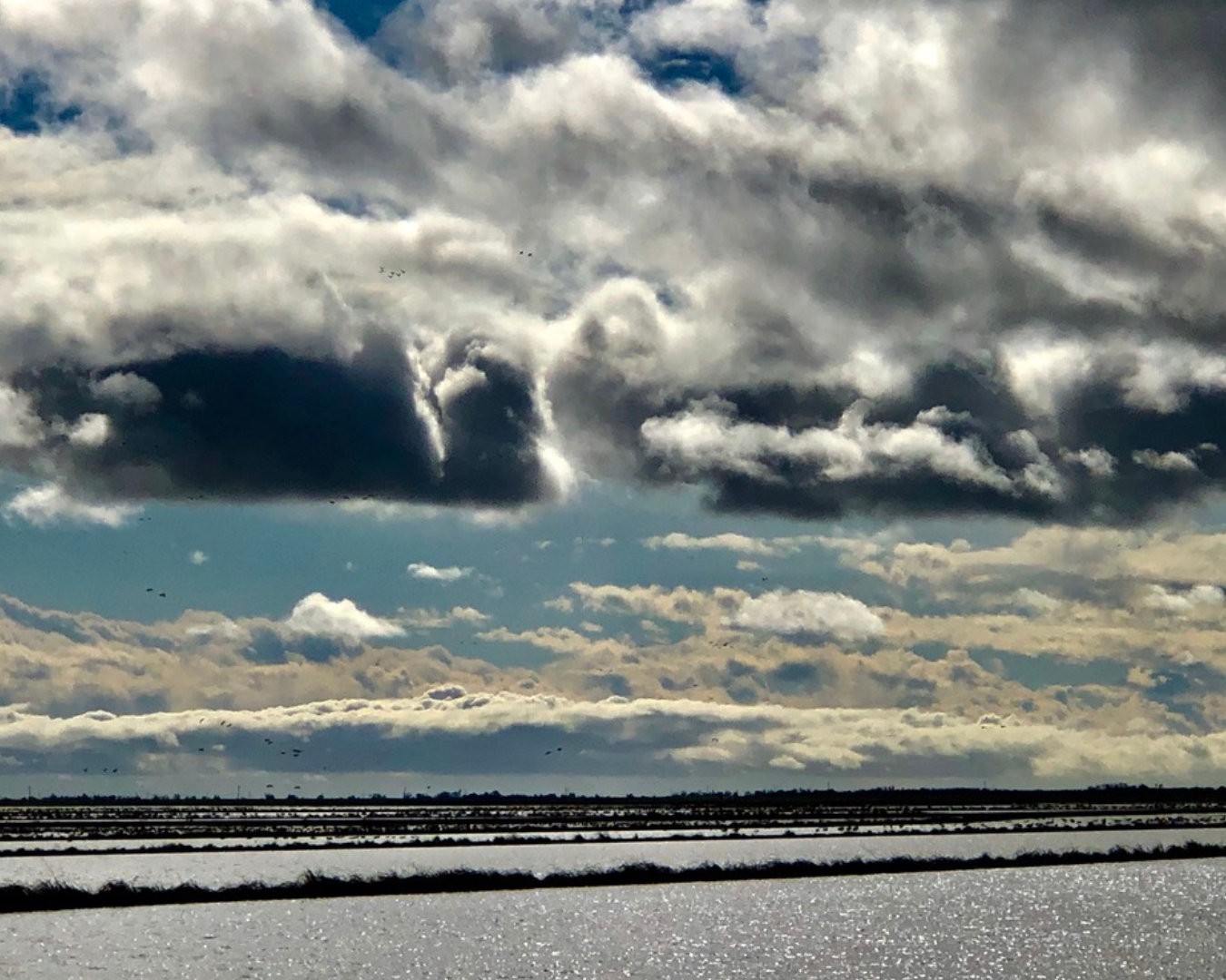 Rectangle Photo Blog Post (1080 x 1350 px) (1350 x 1080 px) (82)