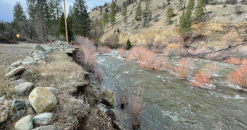 Blog Post Featured Photo (5)