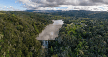 Blog Post Featured Photo (7)