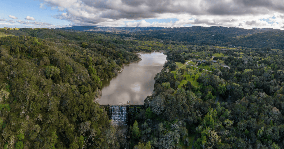 Blog Post Featured Photo (7)