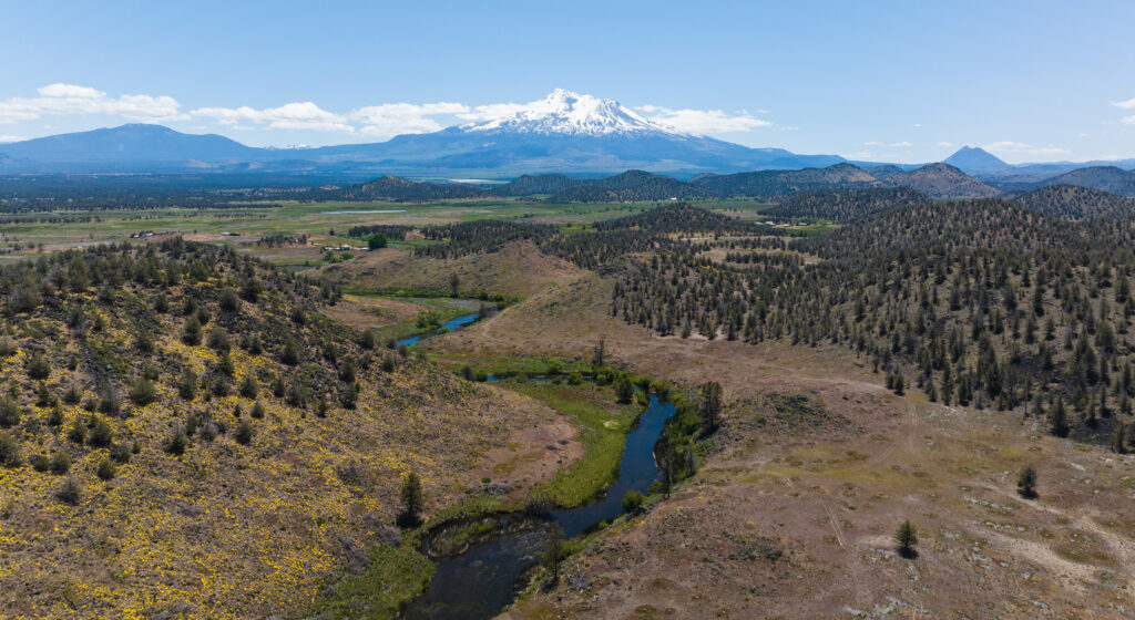 Shasta River and Parks Creek Restoration