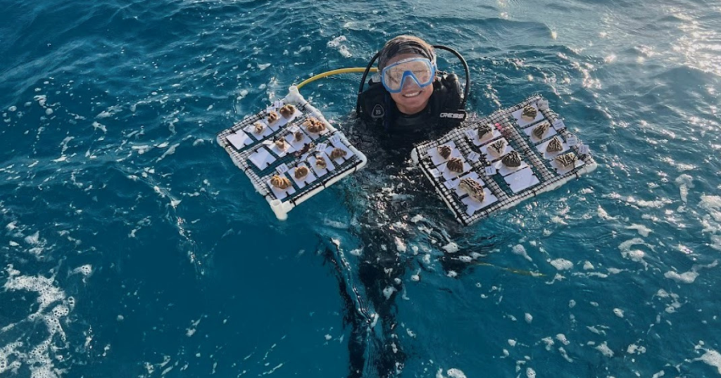 Get to Know the Scientist: Tess Noone, Graduate Policy Researcher & Master’s Student at Scripps Institution of Oceanography
