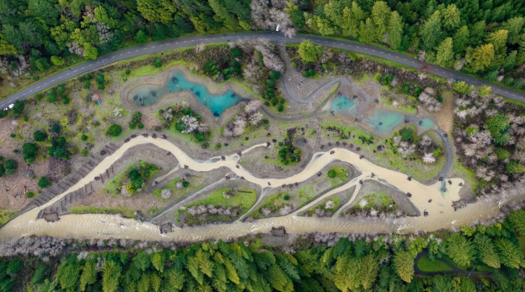 Bull Creek, Hamilton Reach Restoration Project