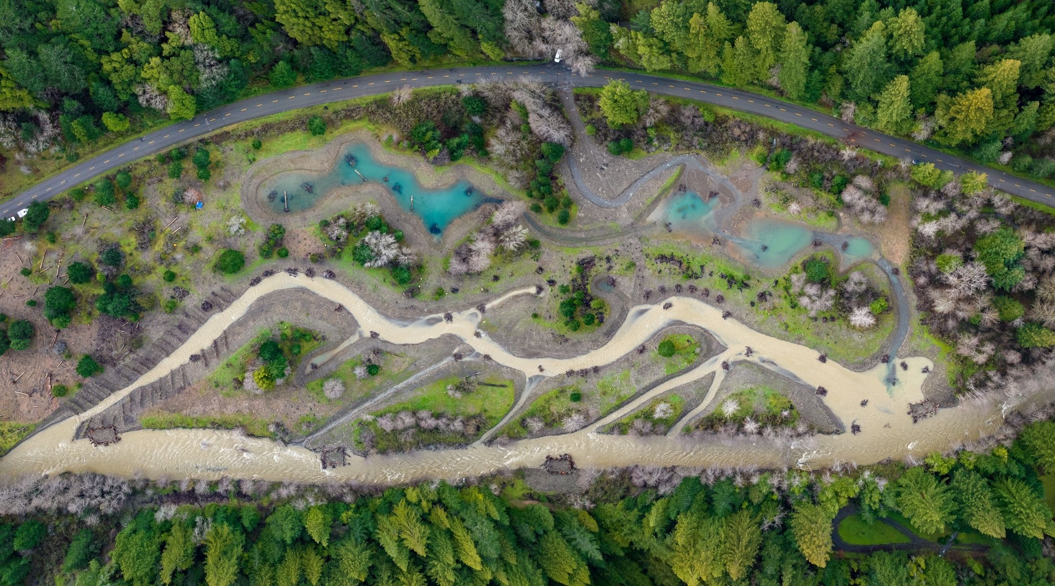 Bull Creek, Hamilton Reach Restoration Project