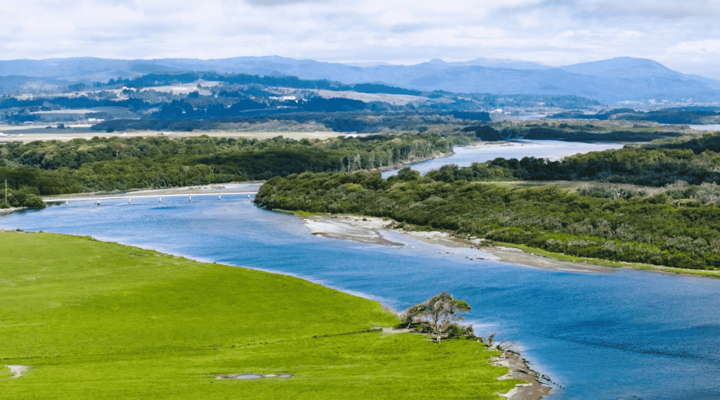 Cannibal Island, Eel River Estuary Restoration Project