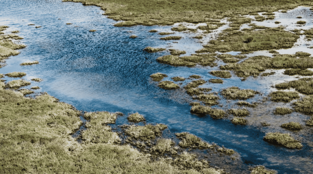 A shot from above of a estuary like body of water, zooming on on water and vegetation detail
