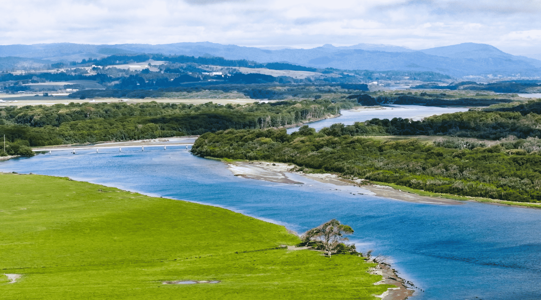 Cannibal Island, Eel River Estuary Restoration Project
