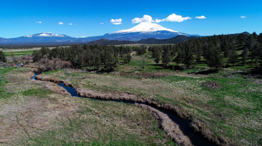 Parks Creek Cardoza Ranch Fish Passage & Flow Enhancement Project