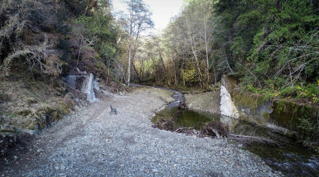 Cedar Creek Barrier Removal