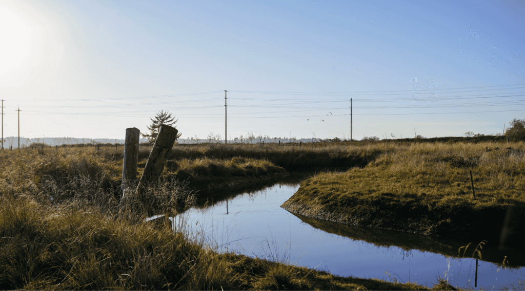 Cochran Creek Fish Passage and Channel Restoration