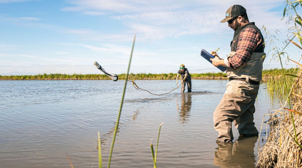 Fish Food on Floodplain Farm Fields